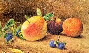 Hill, John William Study of Fruit Sweden oil painting reproduction